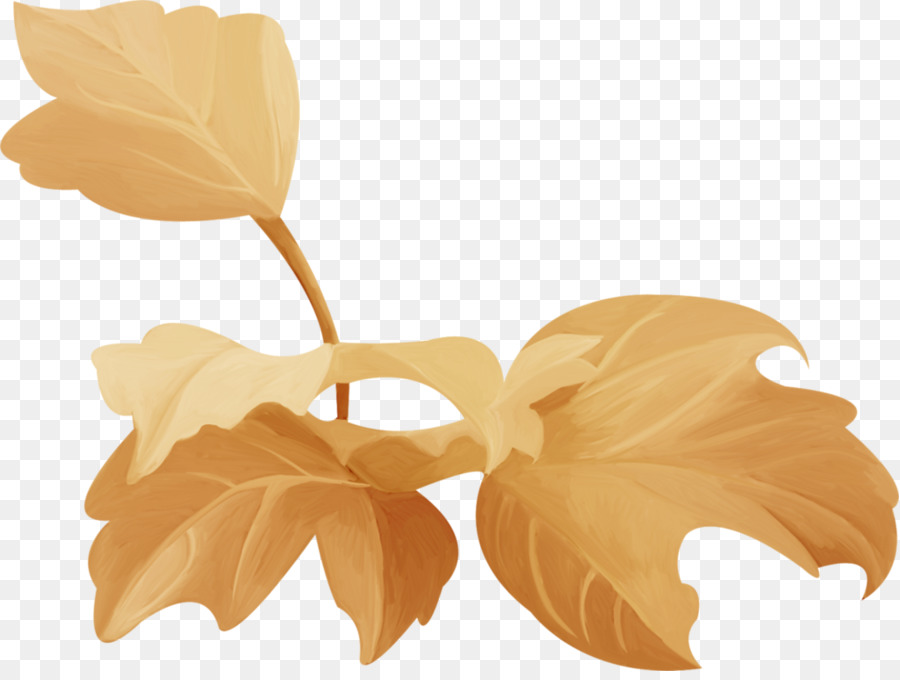 Carta Petalo Foglia - foglie