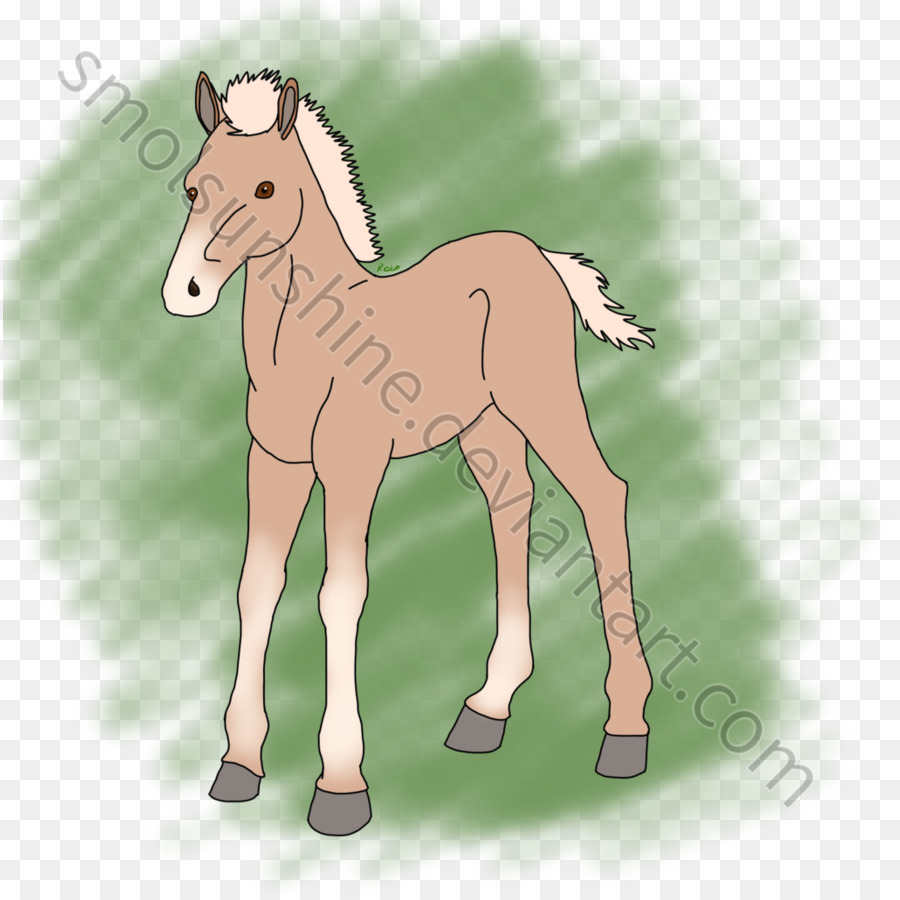 Con Ngựa Mustang Con Ngựa Mare - mustang