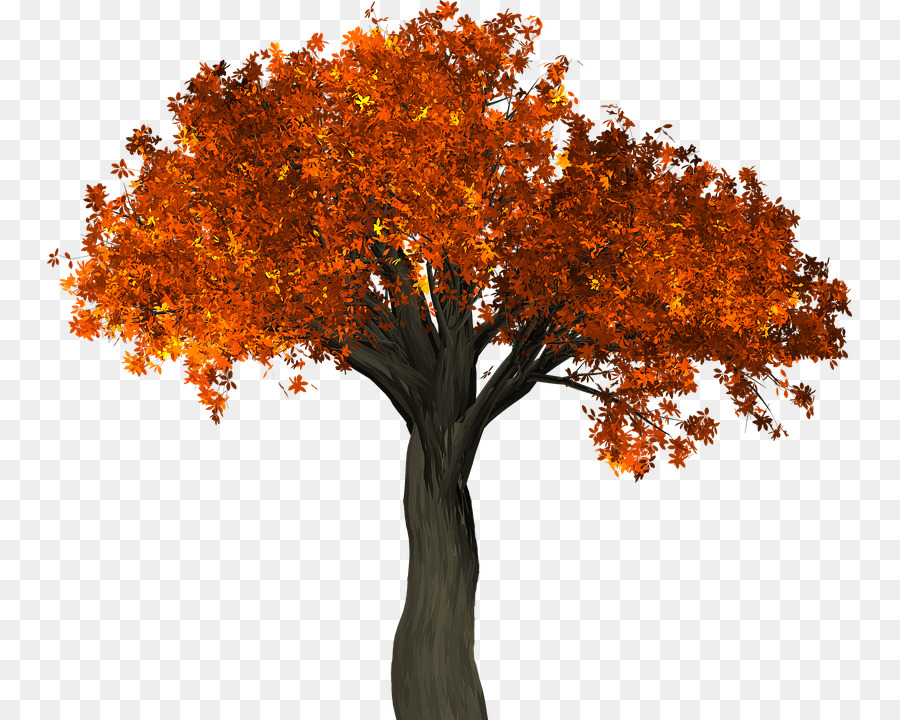 Foglia d'autunno colore Ramo di Albero - albero