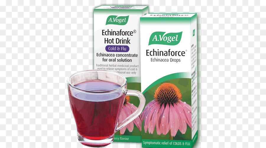 Echinacea purpurea Echinaforce lạnh thức Ăn bổ sung loại Thảo dược - thuốc thảo dược