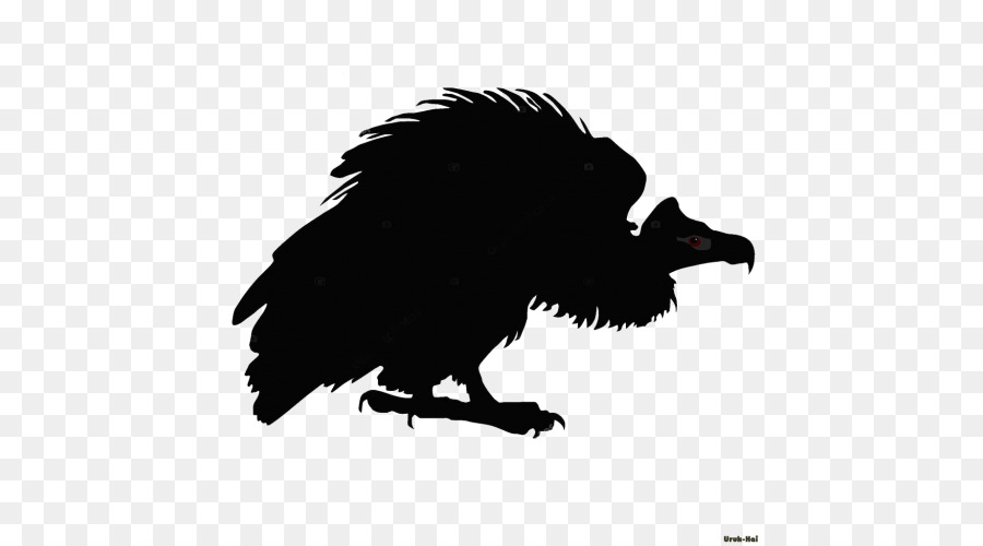 American corvo Silhouette Uccello - silhouette
