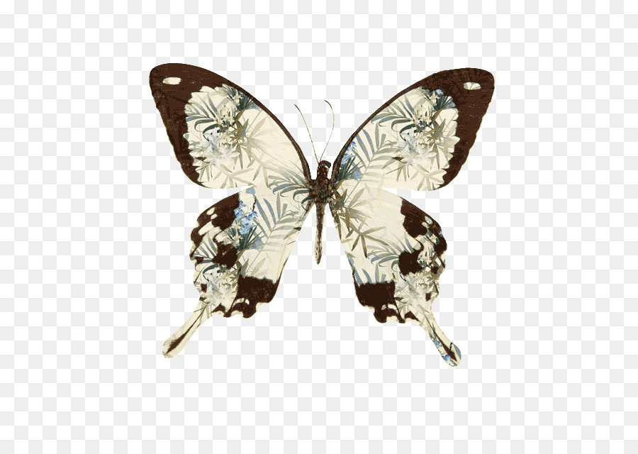 Spazzola zampe farfalle Farfalla Disegno del Tatuaggio o piercing - fig stampa