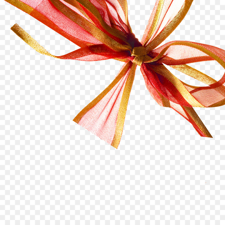 Flower Background Ribbon