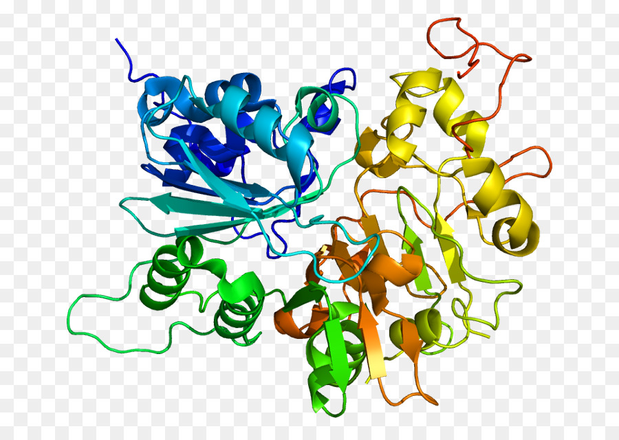Mitochondrium Neurodegeneration Krankheit Reaktive Sauerstoffspezies Mitochondrialen DNA - Tdp