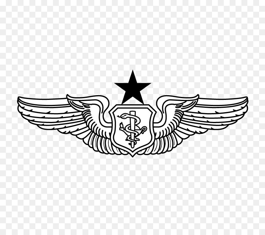Offizier der Luftwaffe der Vereinigten Staaten Luftwaffe Flugchirurg - Krankenschwester symbol