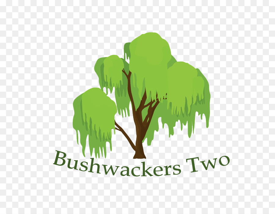 Baum Bushwackers Zwei Nadelbaum Kegel - Landwirtschaft