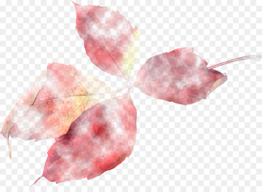 Centerblog Petal-Leaf - blätter