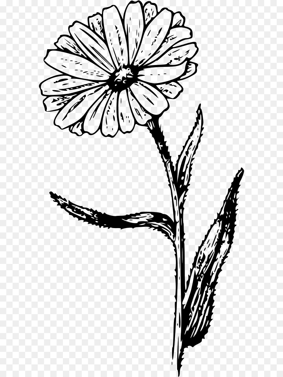 Black And White Flower