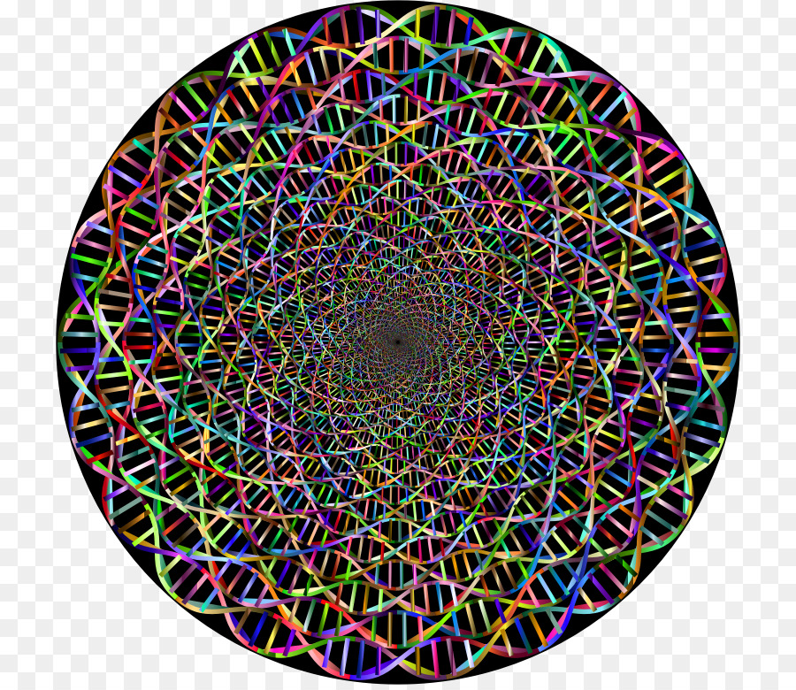 Geometria della circonferenza di acido Nucleico a doppia elica Clip art - cerchio