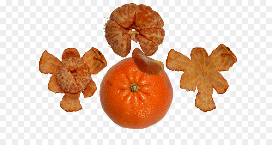 D ' angelo Quýt mandarin cam, câu chuyện của cam đắng - những người khác