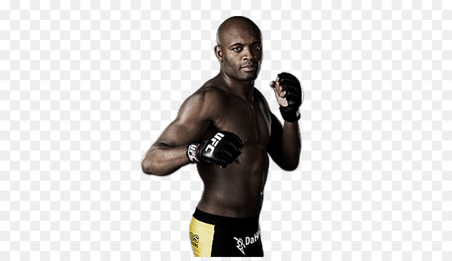 Anderson Silva UFC 126: Silva vs. Belfort UFC 208: Holm vs. De Randamie Boxen Mixed martial arts - Boxen