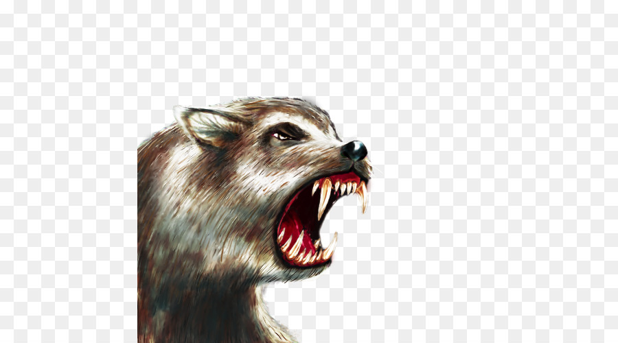 Sói xám Raccoon Dire sói Các Trận chiến Mõm - Raccoon