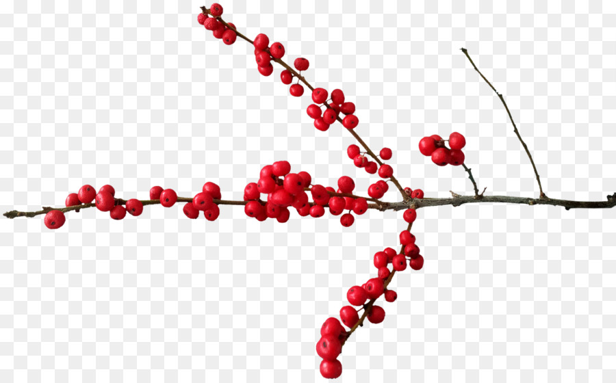 Berry Giáng sinh màu Hồng hạt tiêu Clip nghệ thuật - quả màu đỏ