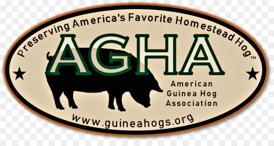 Guinea hog Schwein Tier Rasse - Schwein