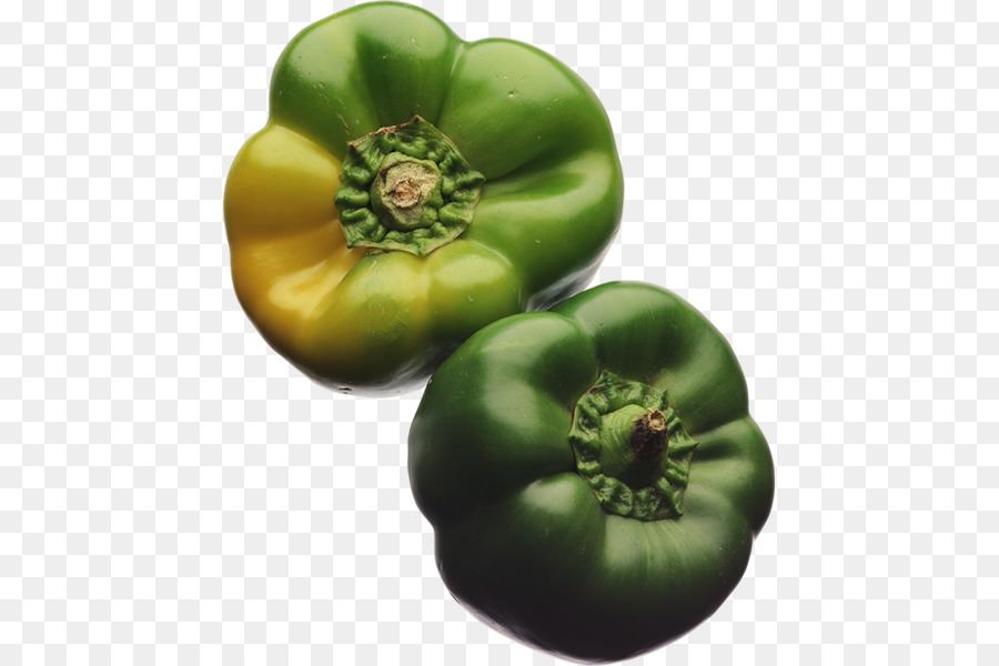 Busch-Tomate-Food-Tomatillo-clipart - pflanzliche