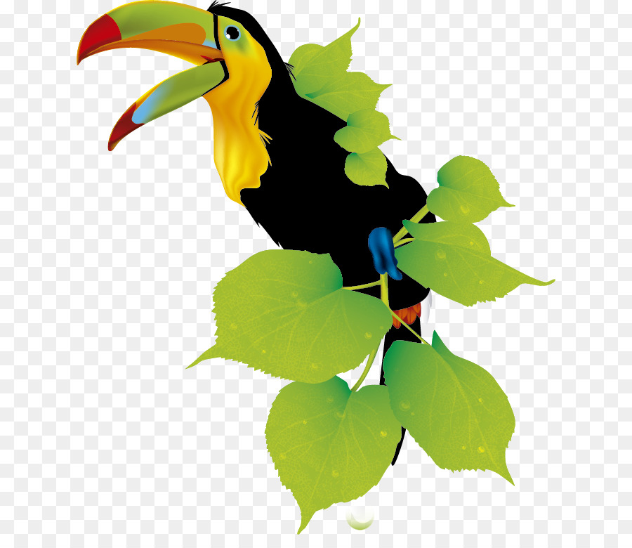 Toucan Responsive Webdesign Hornbill - Tucan