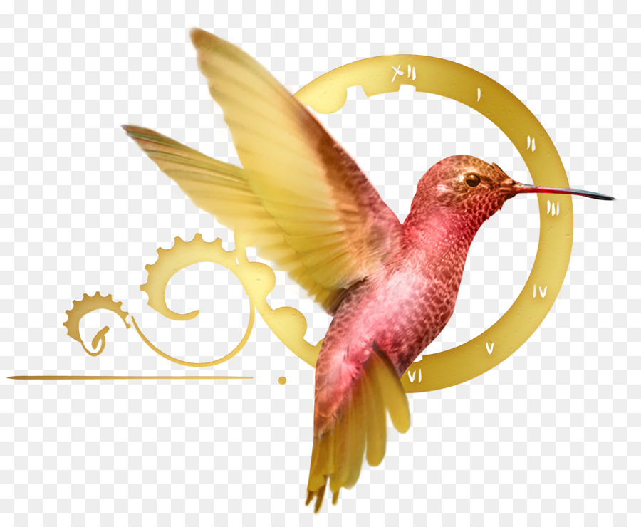 Hummingbird M-Business-Entrepreneurship-System - Vögel Aquarell