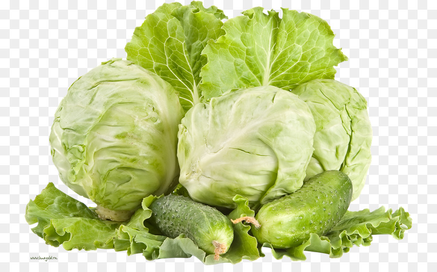 Vegetarische Küche Krautsalat Red cabbage, Napa cabbage - Kohl