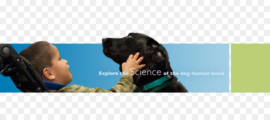 Menschliches Verhalten Education Service Gespräch - Hund und Mensch