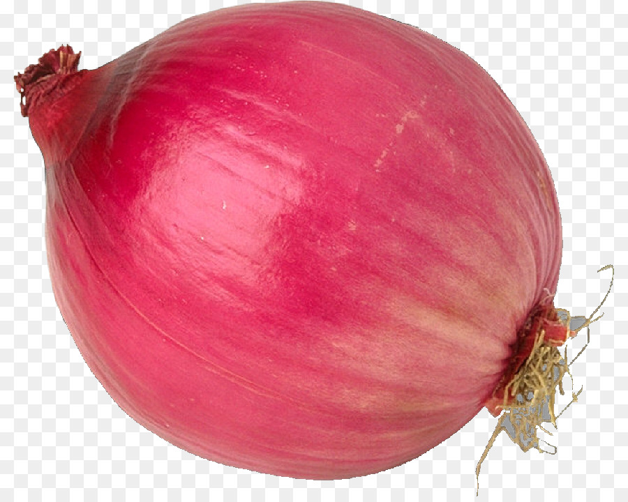 Onion Cartoon