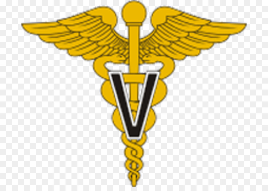 Vereinigte Staaten Armee Krankenschwester Korps Pflege Militärische Krankenschwester, Army Medical Department - Vereinigte Staaten