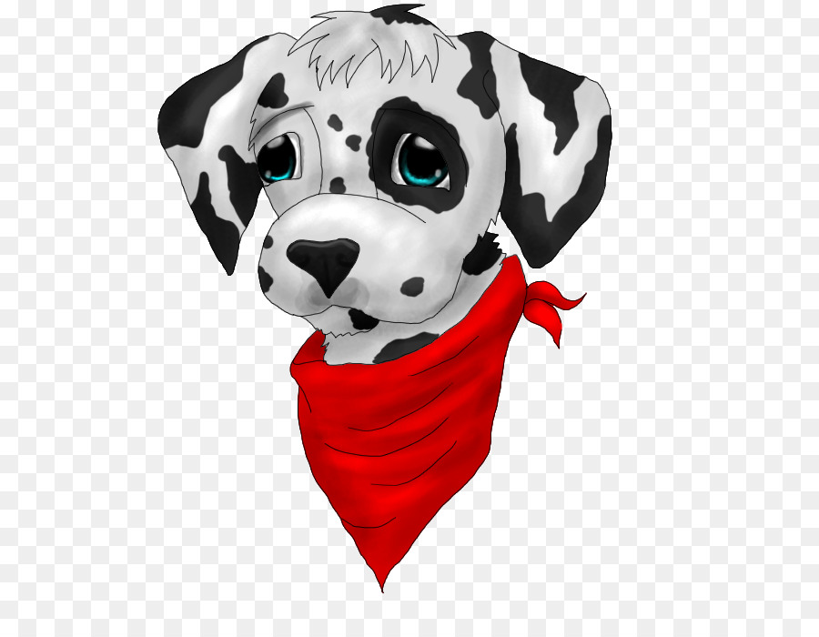 Dalmatiner Hund Hunderasse Nicht-sportliche Gruppe Schnauze - Dalmation