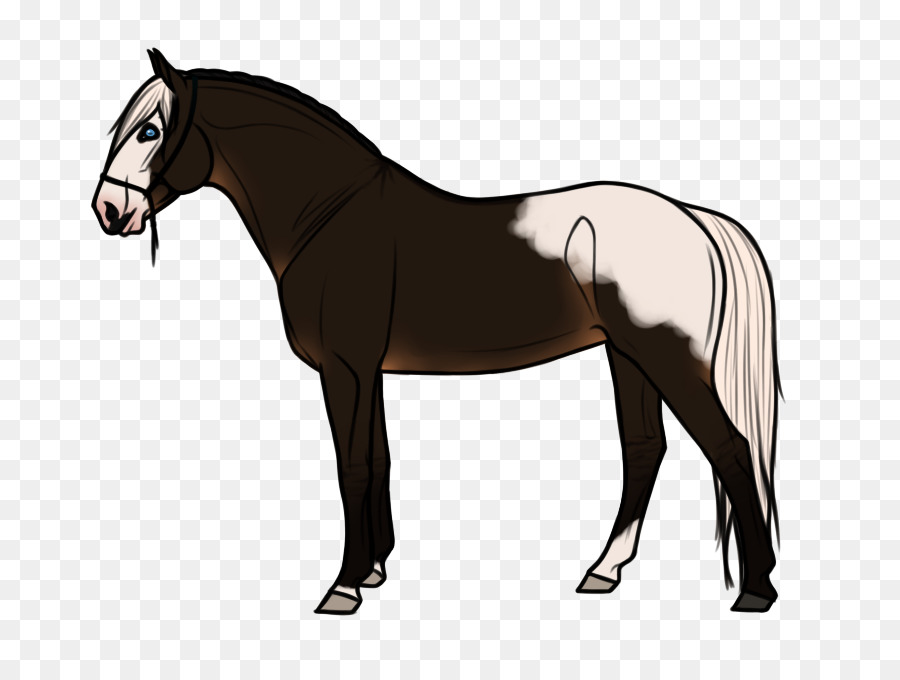 Ngựa Con Dê, Ngựa Bờm - Con ngựa