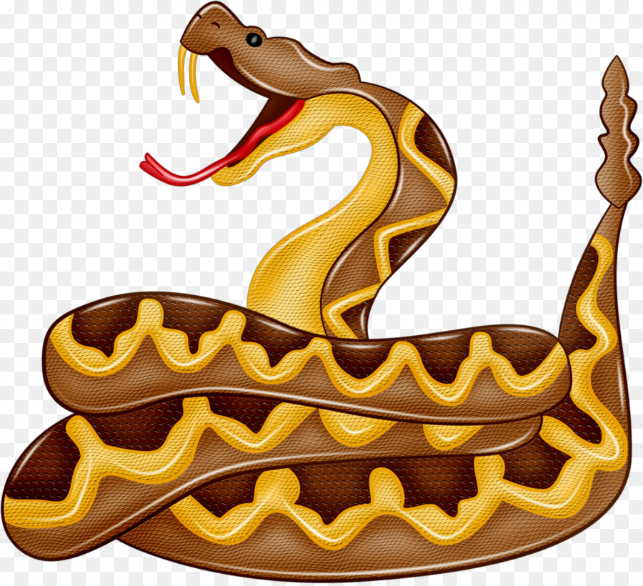 Boa constrictor, Serpente, Rettile Royalty-free Clip art - serpente