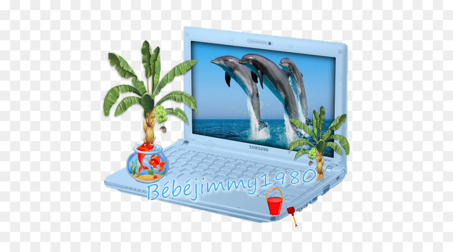 Dubai Dolphinarium Port River Ozeanischen Delfin YouTube - Delphin