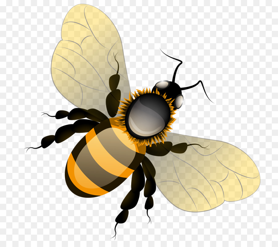 Honig Biene, Schmetterling, Clip art - Biene