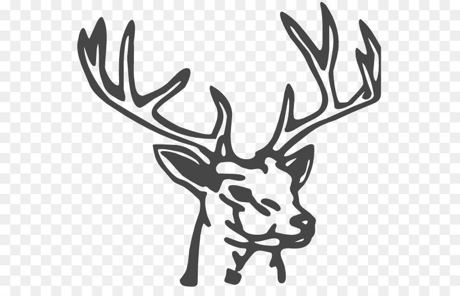 Rentier-Zeichnung White-tailed deer Clip-art - Hirsch