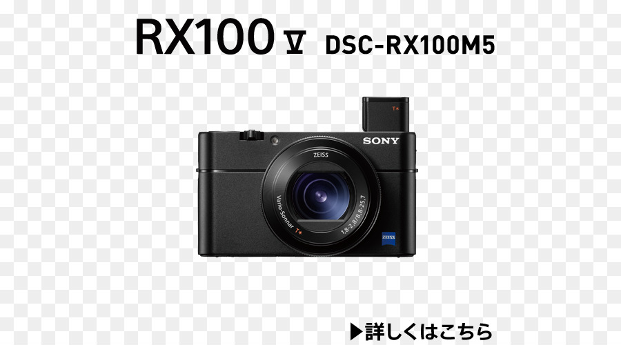 Sony Cyber shot DSC RX100 V Canon EOS 5D Mark III Point and shoot Kamera 索尼 - RX 100