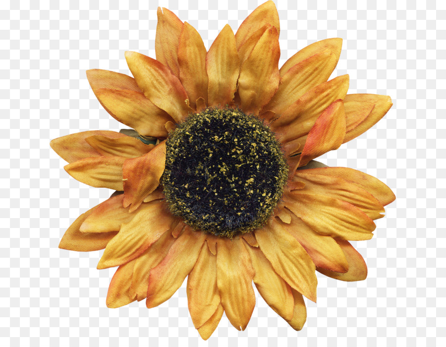 sunflower m - andere
