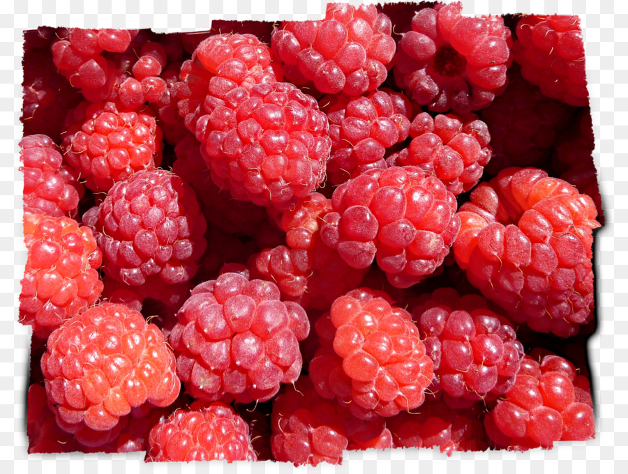 Wineberry Loganberry Boysenberry Himbeere Tayberry - Himbeere