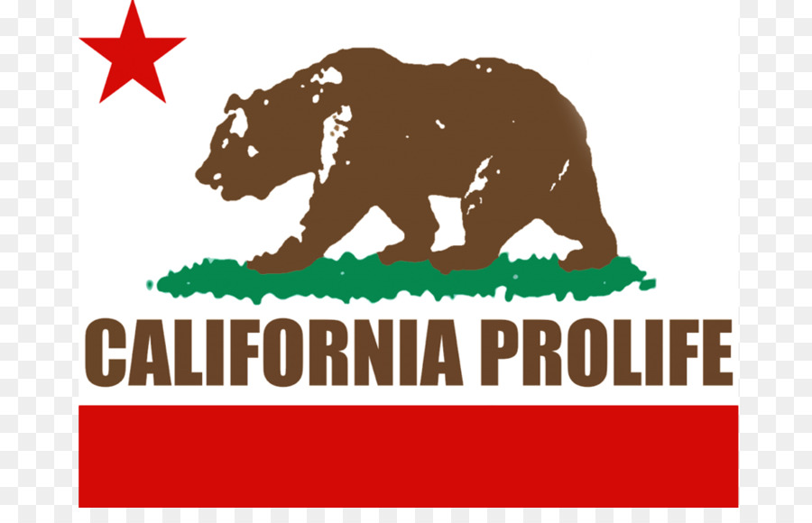 California Hoa Kỳ, chống chuyển Quốc gia Quyền được Sống ủy Ban Tổ chức - điện cao áp trẻ em tài nguyên bộ
