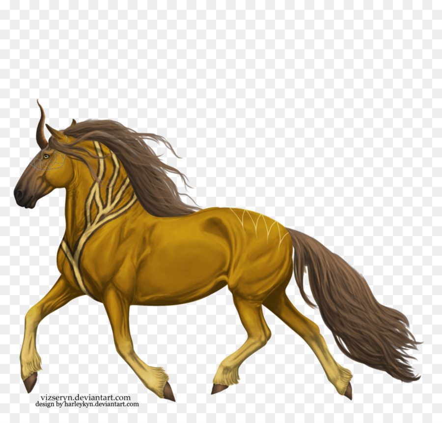 Mustang Fohlen Hengst Halfter Pony - Mustang