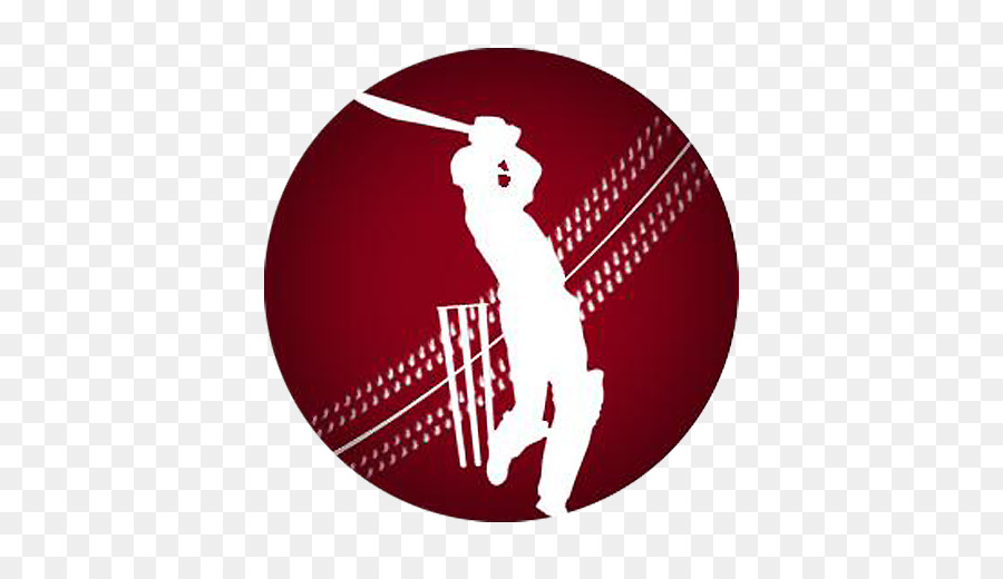 Pakistan nazionale, squadra di cricket della Contea di Campionato Edgbaston Cricket Club di cricket - Grillo