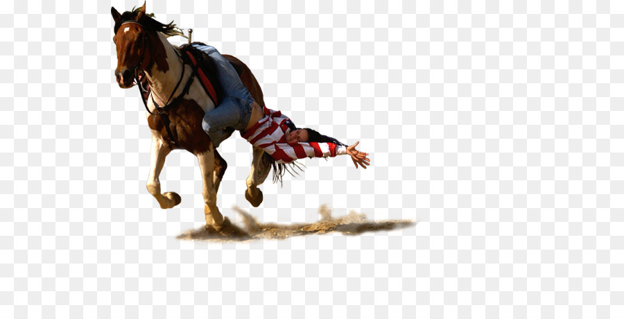 Mustang con Ngựa khai Thác Ngựa Pony Ấn độ các thung Lũng - miền tây liên hoan