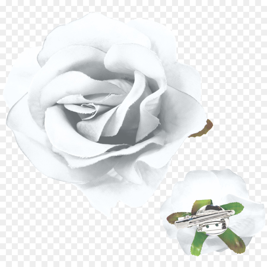 Hoa hồng trong vườn hoa đã Cắt Cánh - Hoa hồng
