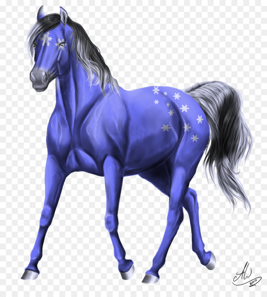 Con Ngựa Mustang Mare Mỹ Sơn Ngựa Appaloosa - mustang