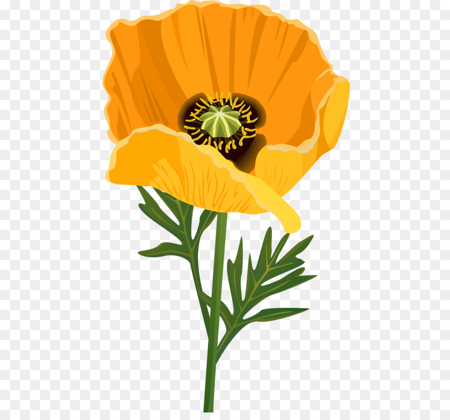 Poppy Cắt hoa Clip nghệ thuật - hoa
