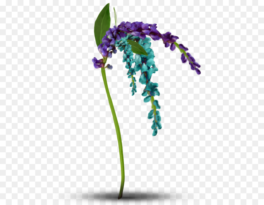 Lavendel-Violett-Pflanze-Stiel - veilchen