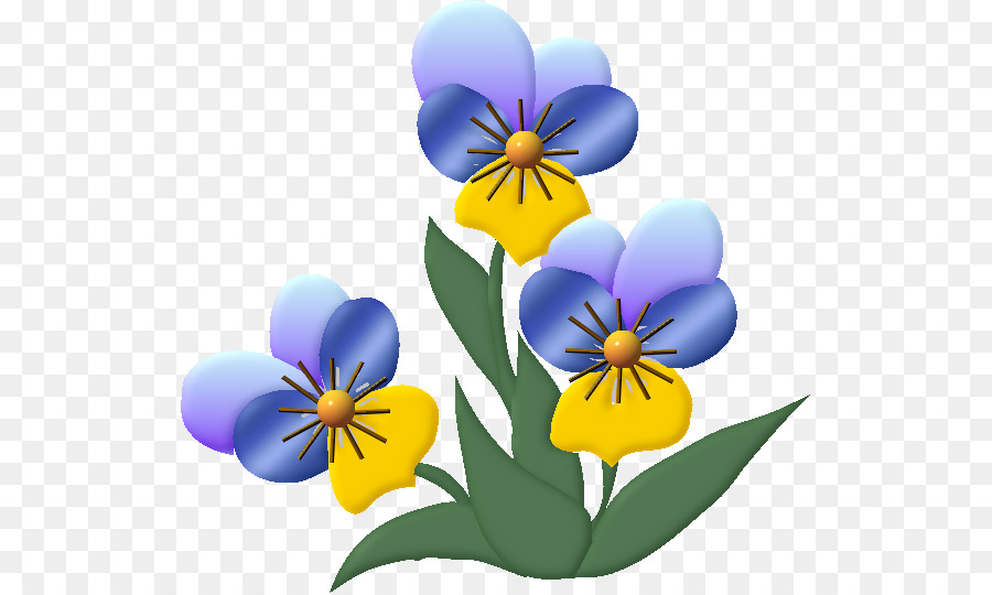 Pansy-Blumen-Zeichnung Clip art - Blume