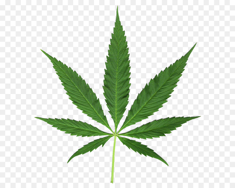 Hanf Medizinischen cannabis Leaf Clip art - andere