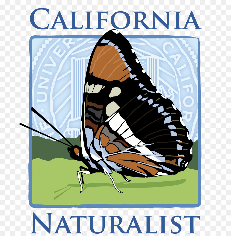 Farfalla monarca California Naturalista - Edizione Locale di Point Reyes National Seashore Natura Placca del Pacifico - Camp Ocean Pines