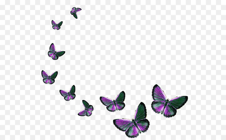 Bướm Clip nghệ thuật - bướm
