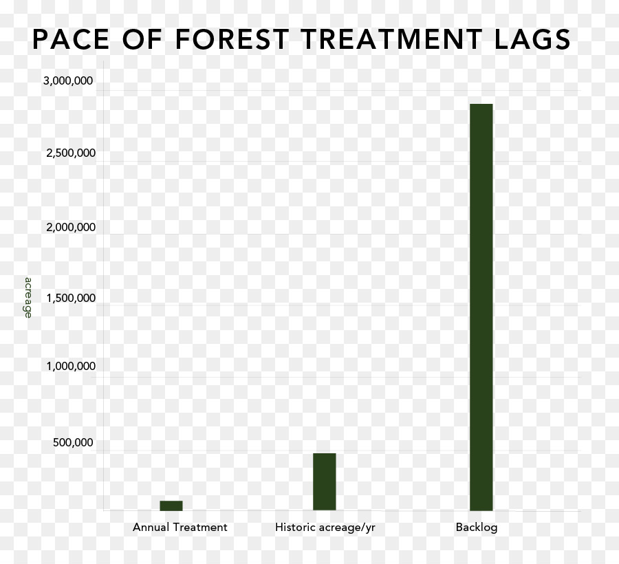 Documento Di Linea Verde - il fuoco della foresta