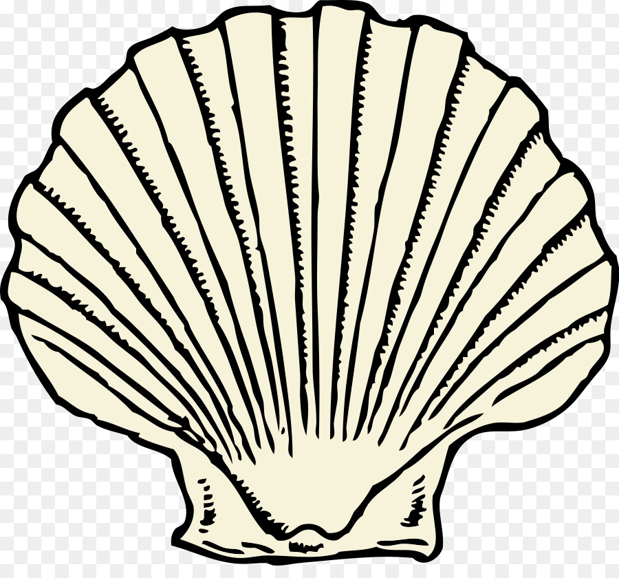 Seashell-Muschel-Wirbellose Clip-art - Seashell