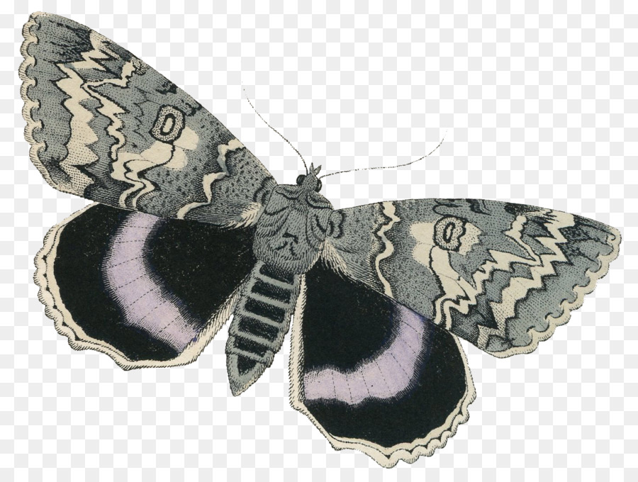 Moth Napa Nhà Và Nghệ Thuật Sân Vườn - Bướm Cổ Tích