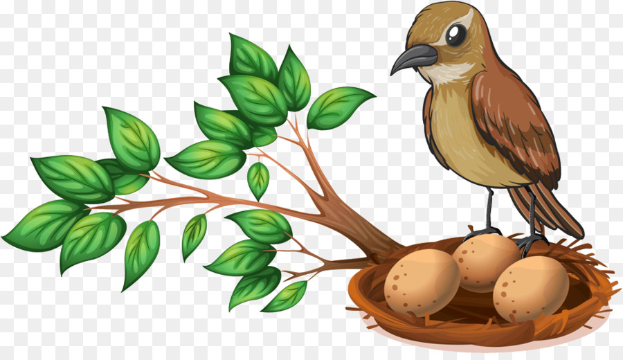 Bird nest Europea robin pettirosso Americano - uccello
